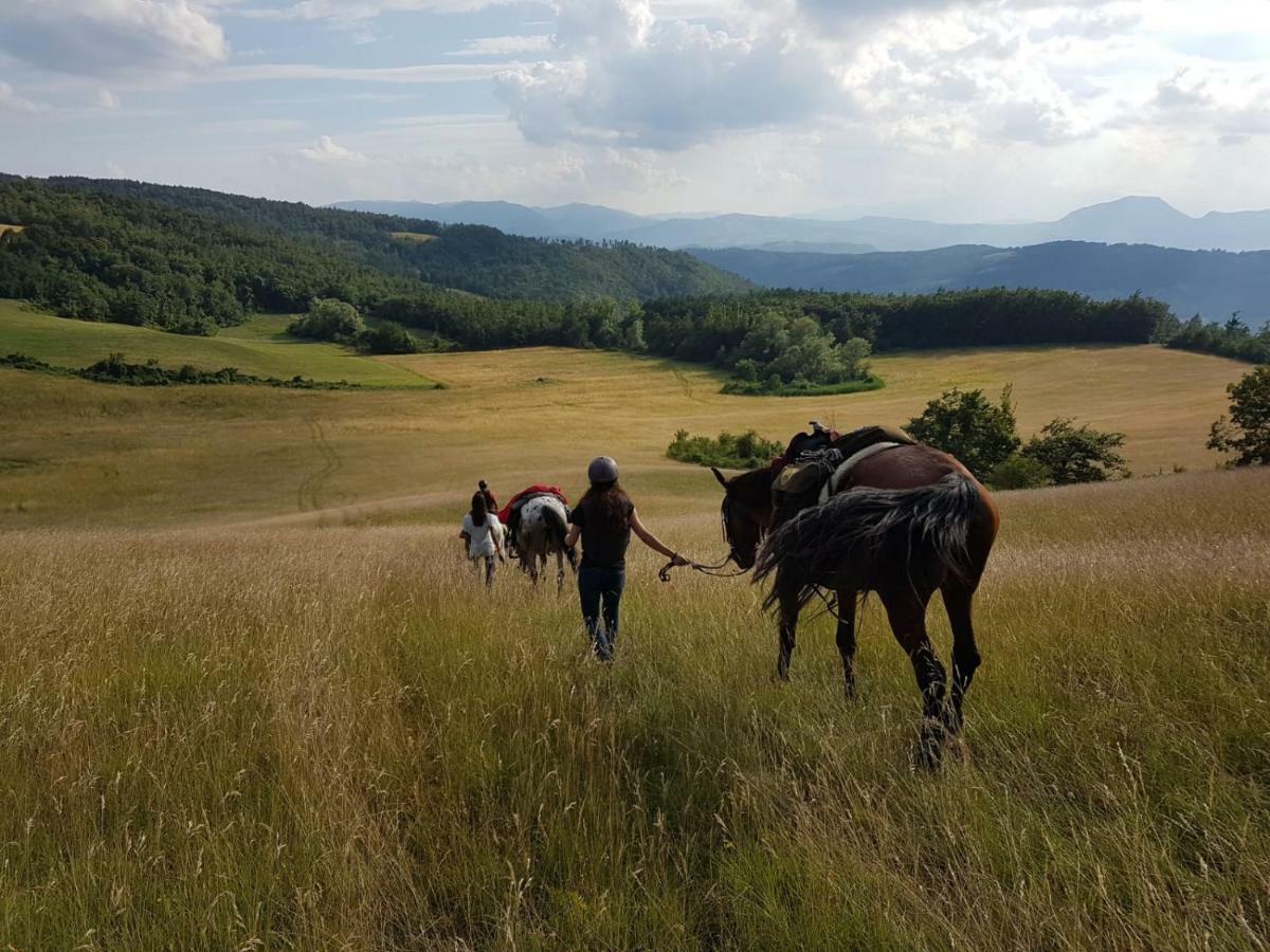 Vila Agriturismo Piccola Raieda Sasso Marconi Exteriér fotografie